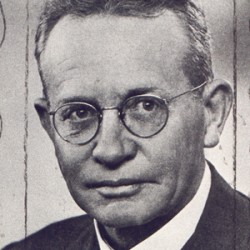 Toon van den Heever
